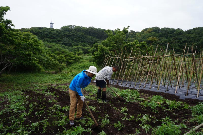 農場開墾をちょっとだけお手伝い