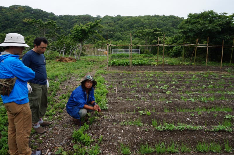 農場の綱島さんにお話を聞く