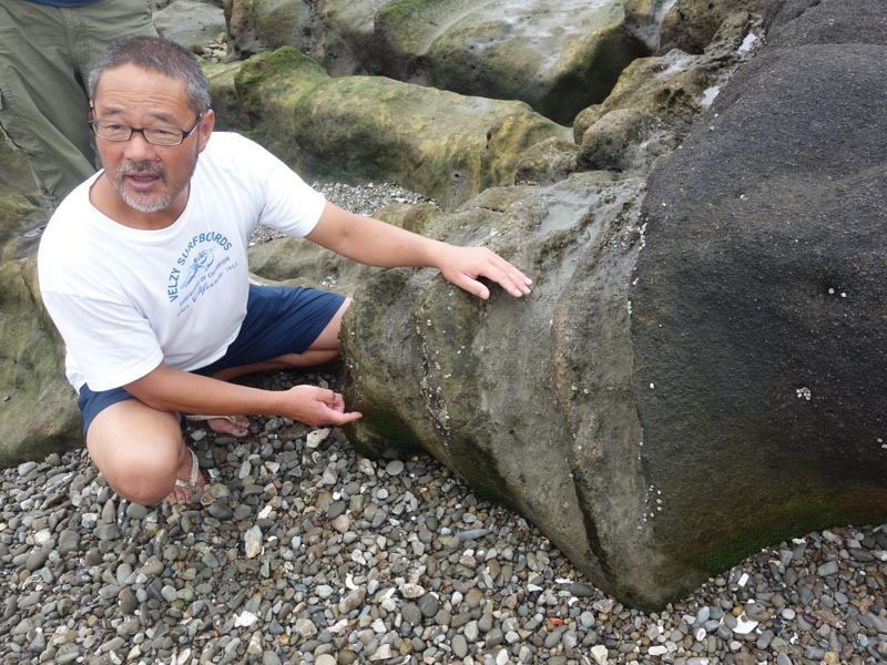 海野さんによる磯の自然観察