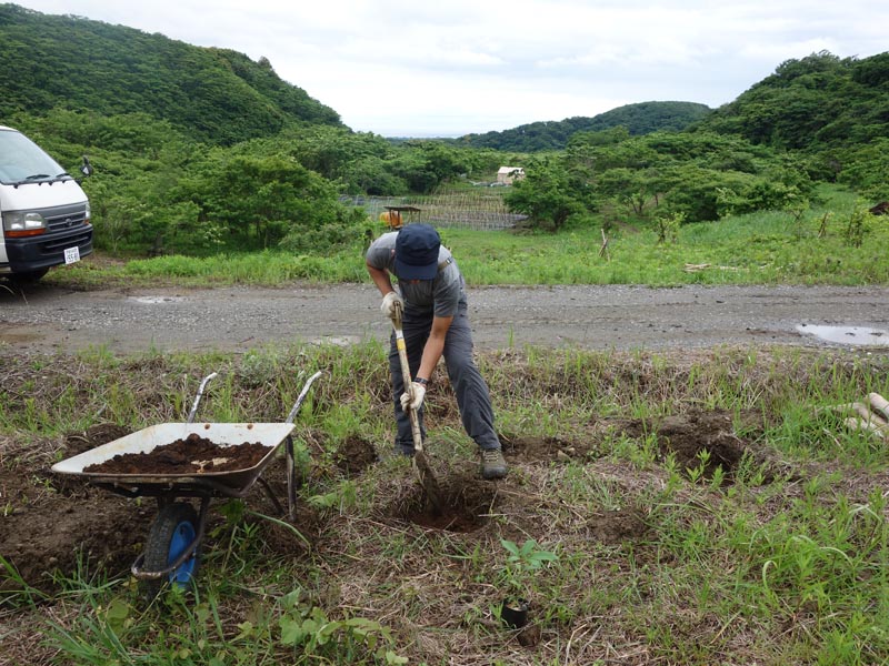 植樹準備で穴を掘ります