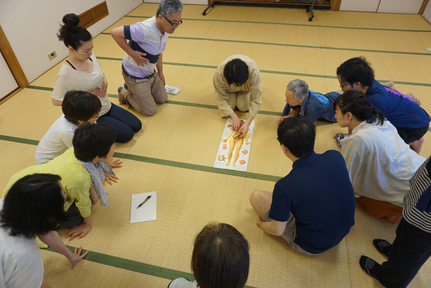 身体の中身・臓器の位置を確認します